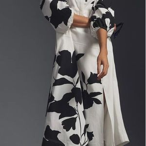 Anthropologie Jo Faulkner Button-Front Asymmetrical Dress Size 2-4 New with Tags